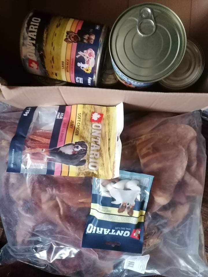 psí domov u lišky_1